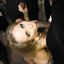 Sexy blonde mom pornstar is a true QUEEN OF SPADES