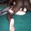 Interracial sex gallery porn with BBC loving white babes