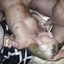 Random cuckold sex pics