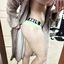 Handpicked BBC seduction porn pictures and sexy photos