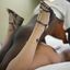 Cuckolding pictures featuring white wives and BBC