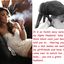 Gay sex encouragement captions with hot babes