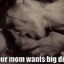 Bully banging your mom in the best cuckolding GIFs