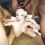 Interracial BBC gangbang porn pictures with whores