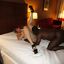 Amazing blonde with long legs gets screwed deep