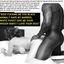 Hot white wives fuck black men in free online porn