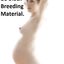 Pregnant girls are always ready for BBC breeding