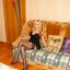 Russian mom striptease gallery with nude pussy teasing